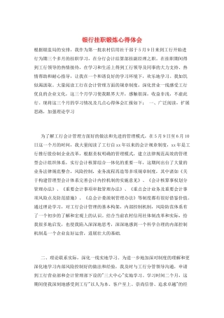 银行挂职锻炼心得体会