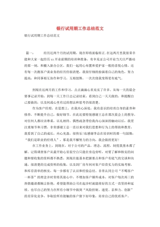 银行试用期工作总结范文