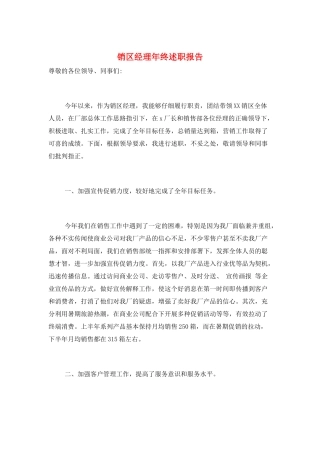 销区经理年终述职报告