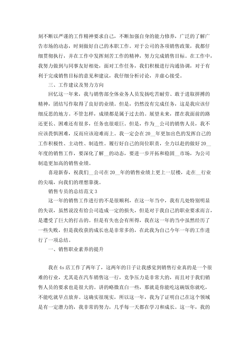 销售专员的总结范文_第3页