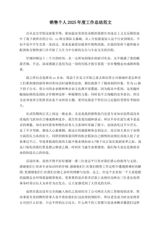 销售个人2025年度工作总结范文