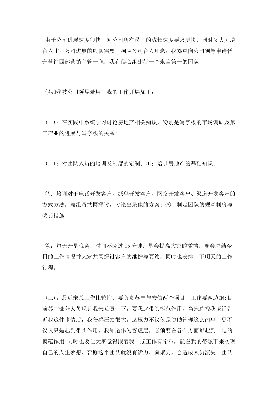 销售个人升职述职报告_第2页