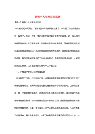 销售个人年度总结范例