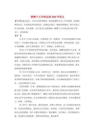 销售个人年终总结500字范文