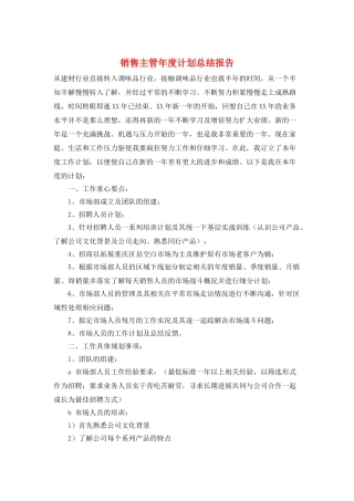 销售主管年度计划总结报告