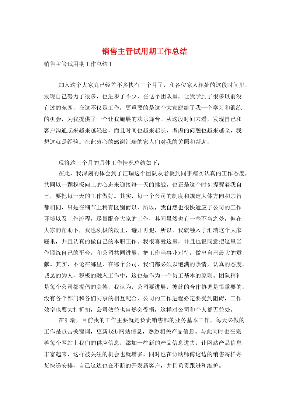 销售主管试用期工作总结_第1页