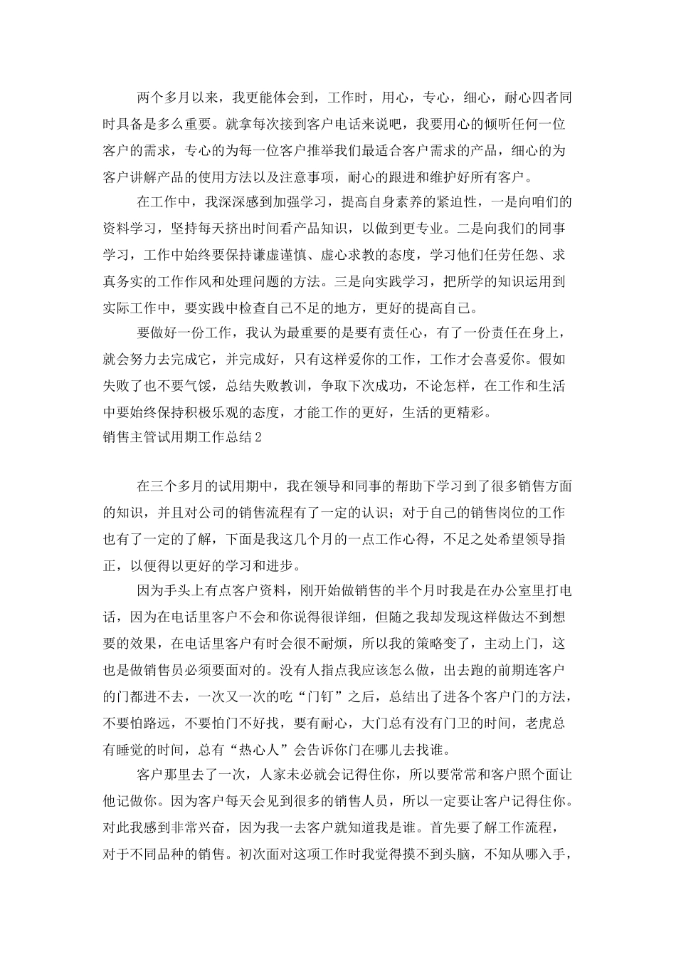销售主管试用期工作总结_第2页