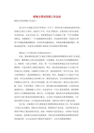 销售主管试用期工作总结