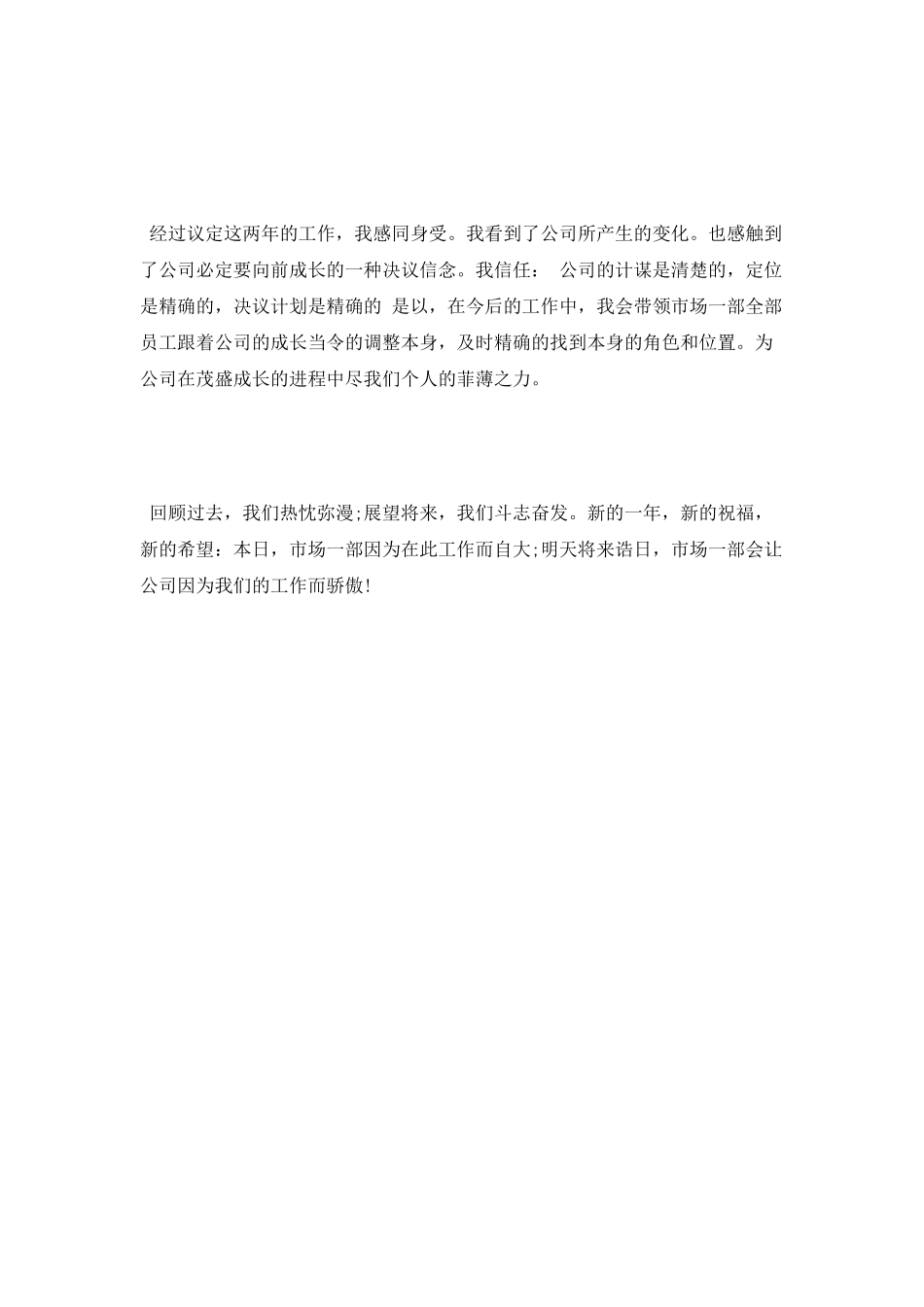 销售主管述职报告_第3页