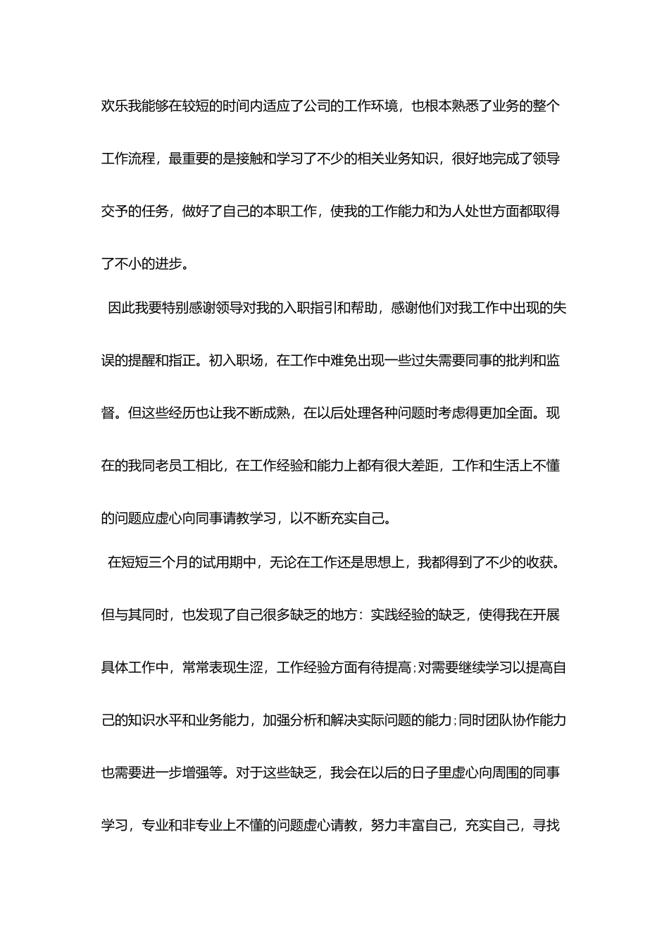 销售人员试用期工作总结_第2页