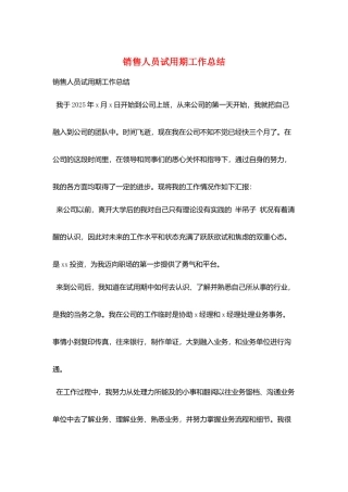 销售人员试用期工作总结