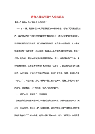 销售人员试用期个人总结范文