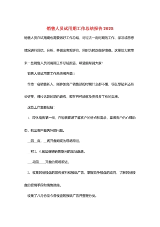 销售人员试用期工作总结报告2025