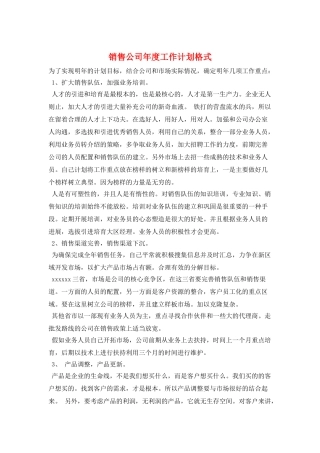 销售公司年度工作计划格式