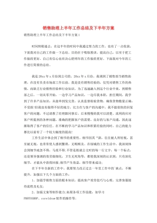 销售助理上半年工作总结及下半年计划