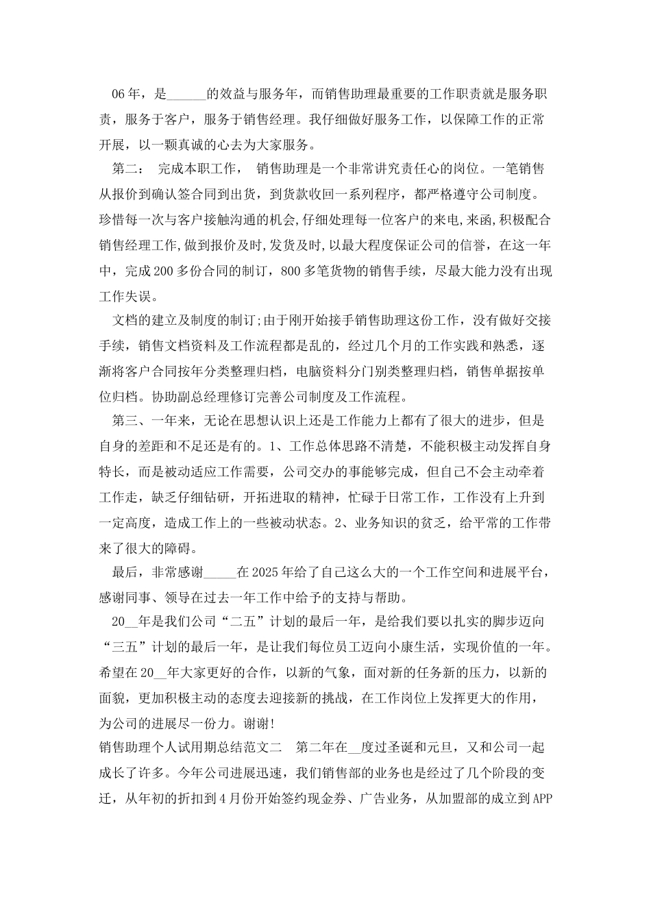 销售助理个人试用期总结_第2页