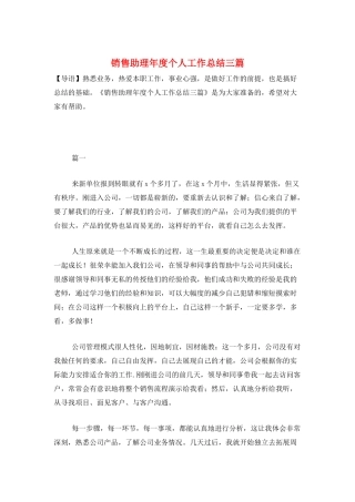 销售助理年度个人工作总结三篇
