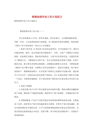 销售助理年初工作计划范文