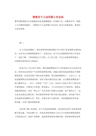 销售员个人试用期工作总结