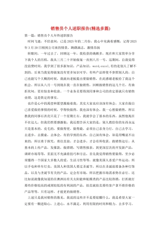 销售员个人述职报告