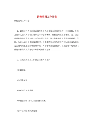 销售员周工作计划