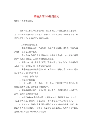 销售员月工作计划范文