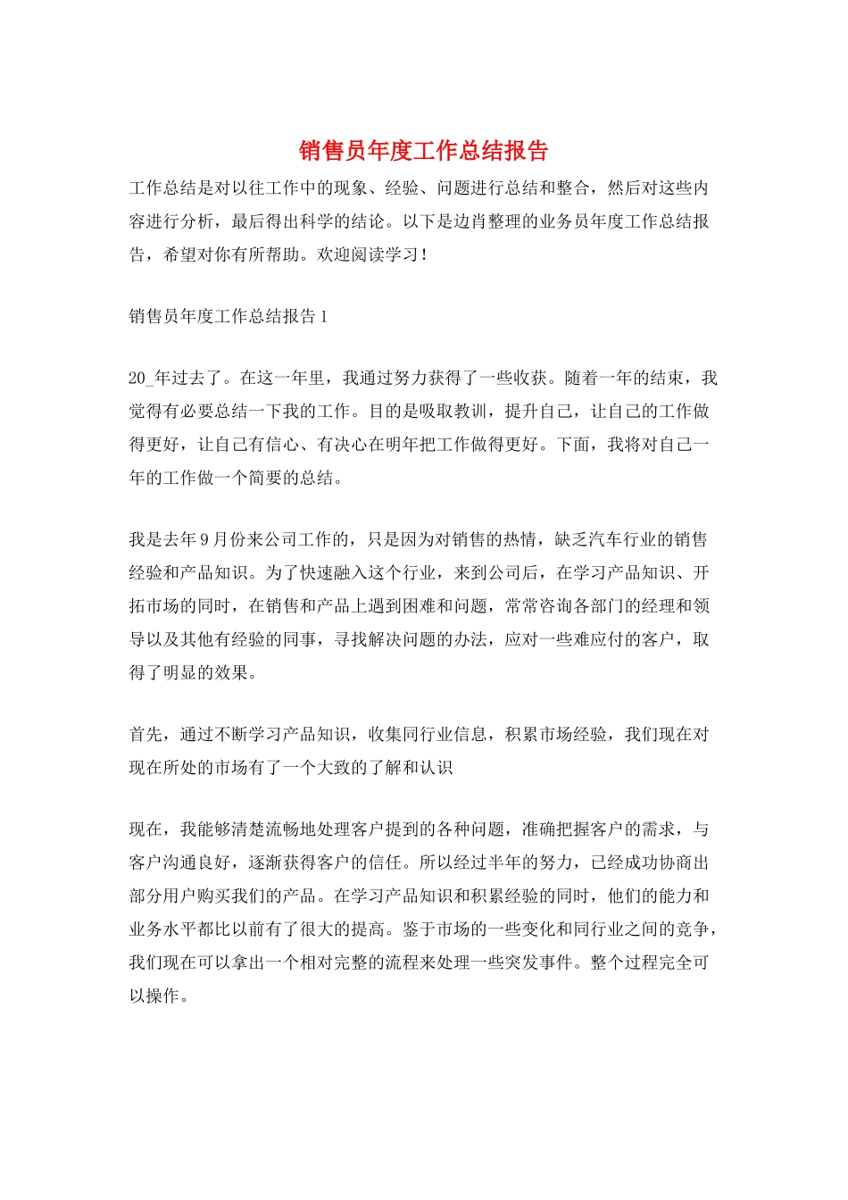 销售员年度工作总结报告_第1页
