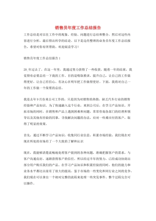 销售员年度工作总结报告