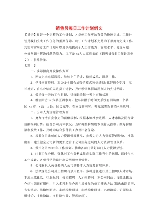 销售员每日工作计划例文