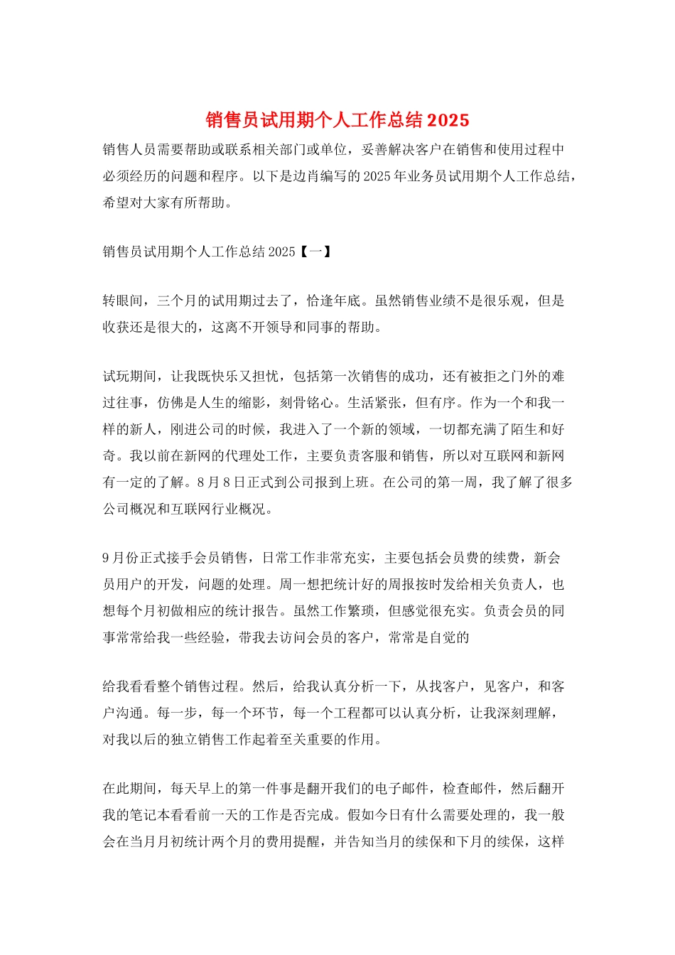 销售员试用期个人工作总结2025_第1页