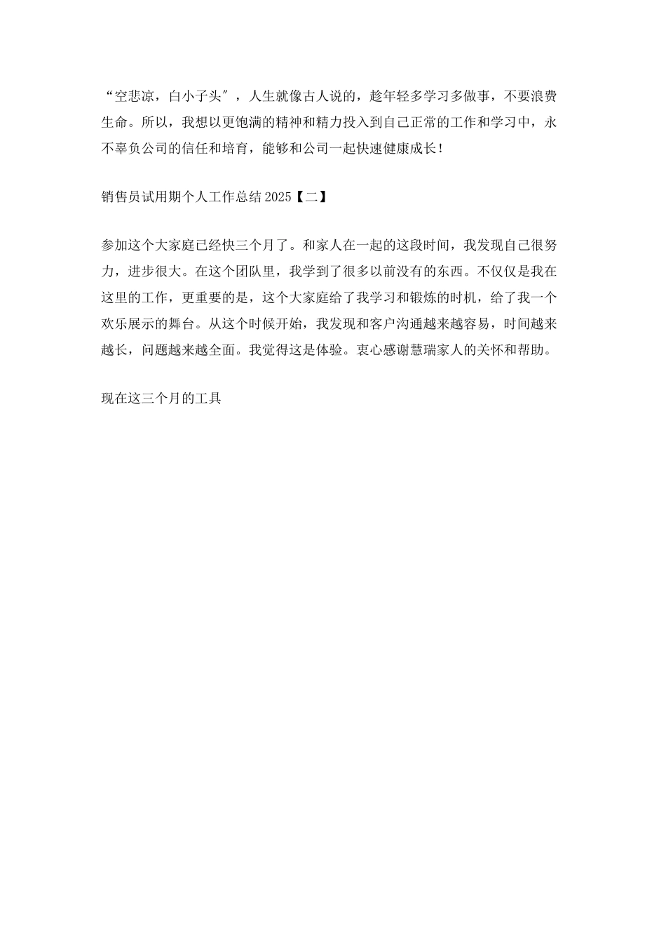 销售员试用期个人工作总结2025_第3页