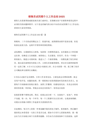 销售员试用期个人工作总结2025