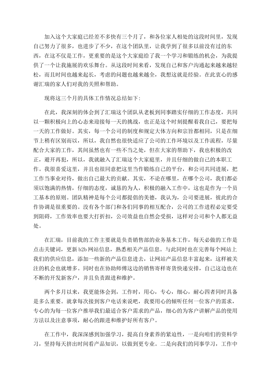 销售员转正工作总结_第3页