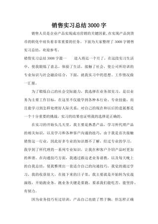 销售实习总结3000字（标准版）