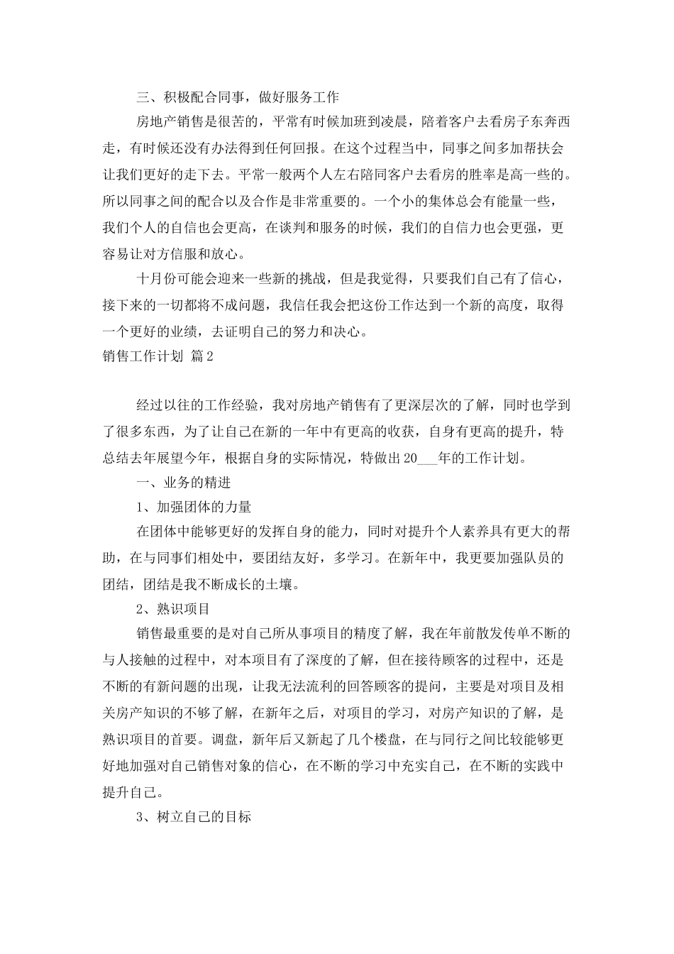销售工作计划集合5篇_第2页
