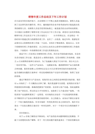 销售年度工作总结及下年工作计划