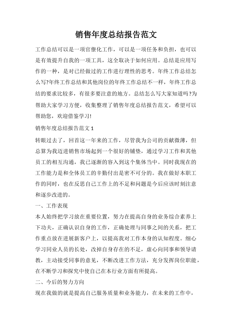 销售年度总结报告范文_第1页