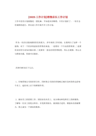 销售店长工作计划