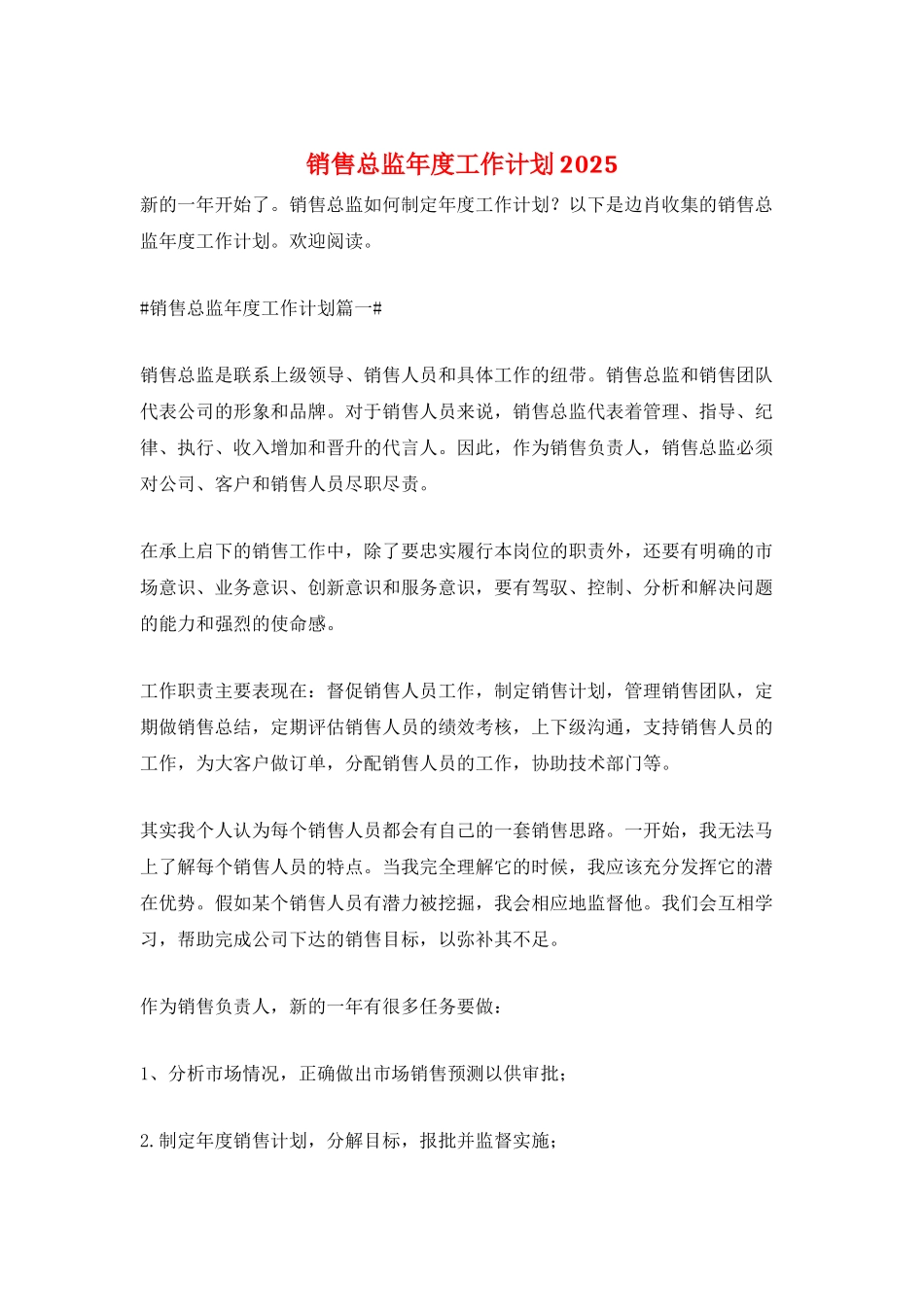 销售总监年度工作计划2025_第1页