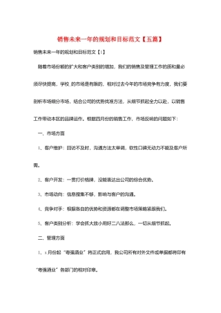 销售未来一年的规划和目标范文