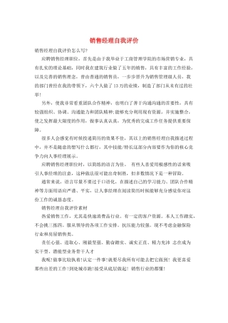 销售经理自我评价