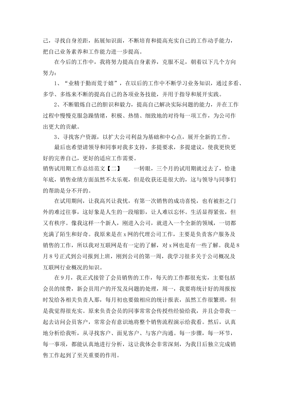 销售试用期工作总结4篇_第2页