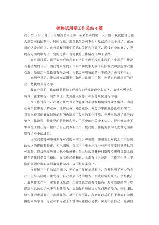 销售试用期工作总结4篇