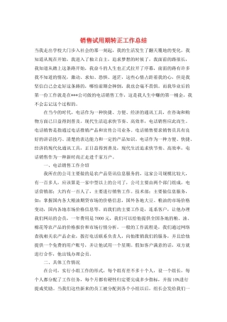 销售试用期转正工作总结
