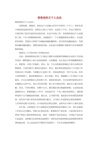 销售部转正个人总结