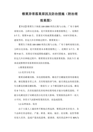 锥栗异常落果原因及防治措施