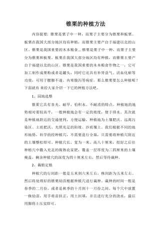 锥栗的种植方法