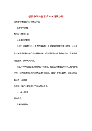 镇新中学体育艺术2+1情况小结