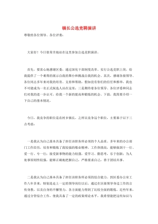镇长公选竞聘演讲