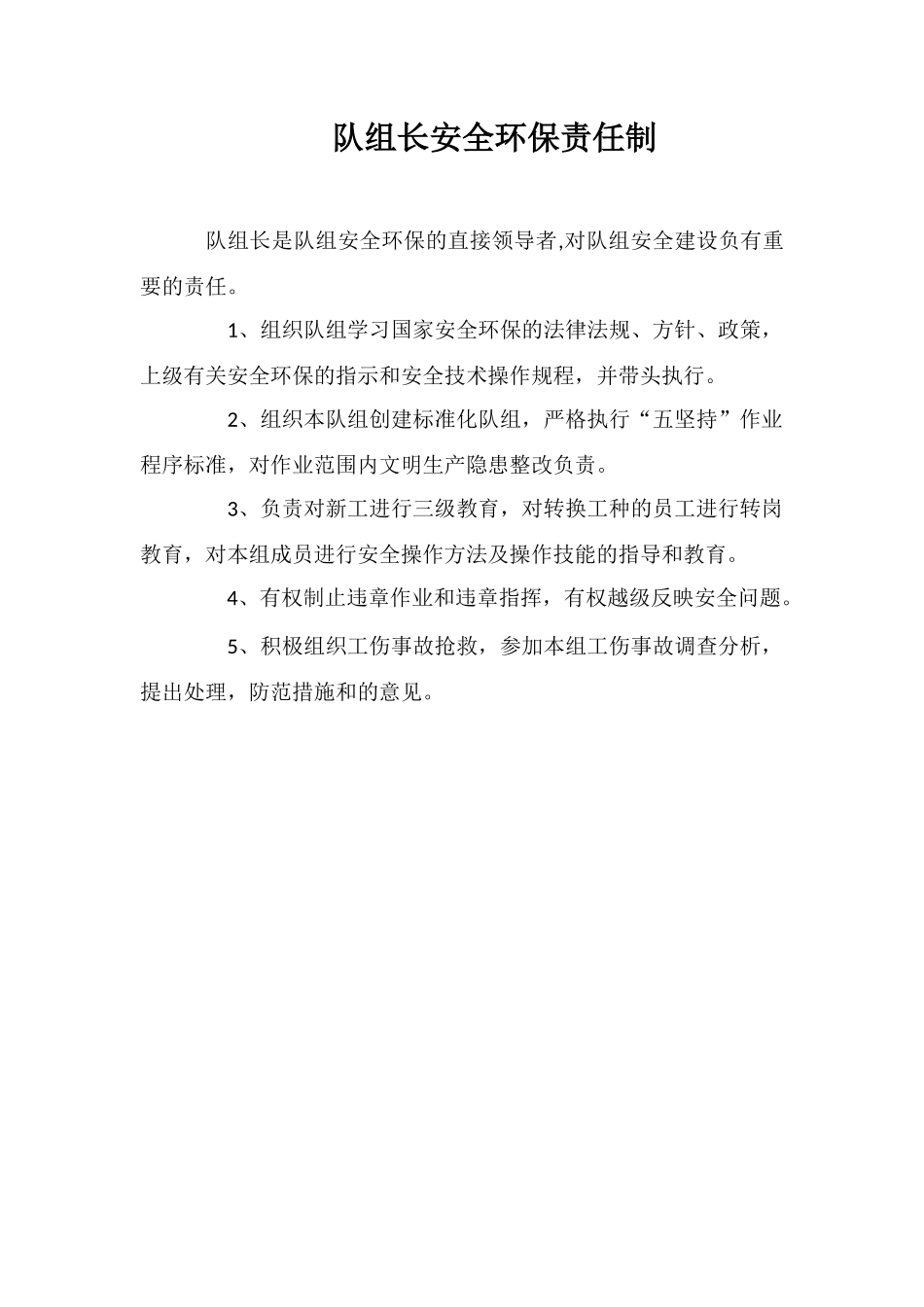 队组长安全环保责任制_第1页